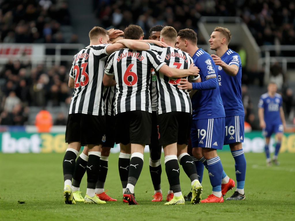 及多种互动 及多种互动